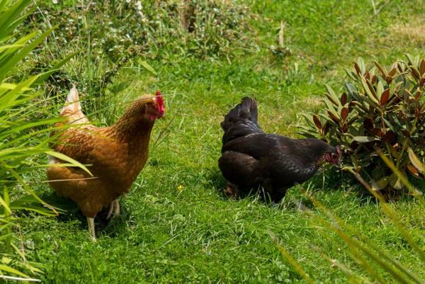 Cairnryan Bed and Breakfast