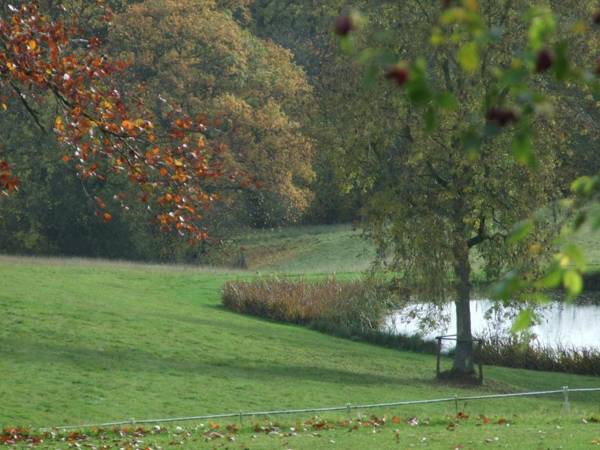 Woodlands Bed & Breakfast