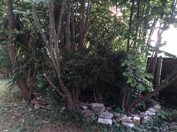 Whole house cottage with parking and huge garden