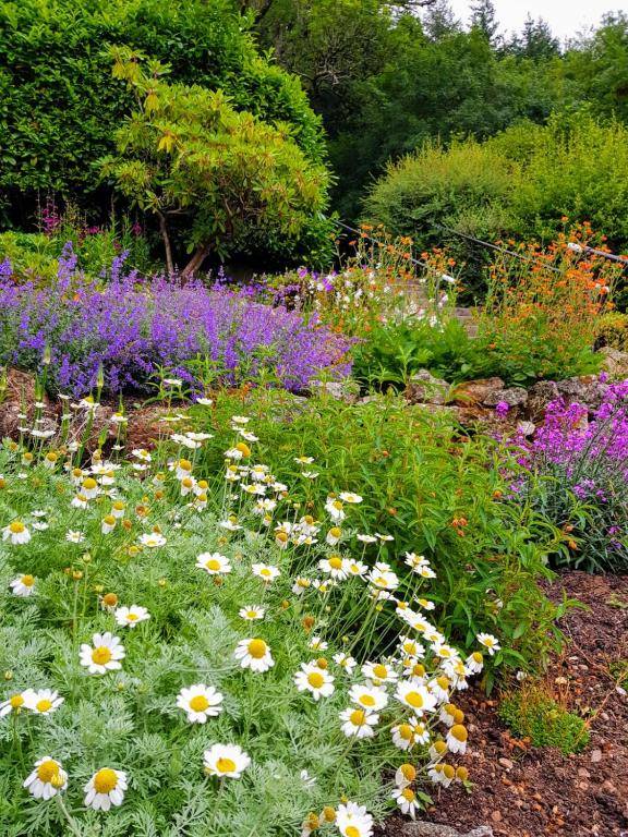 Eastwrey Barton Country House