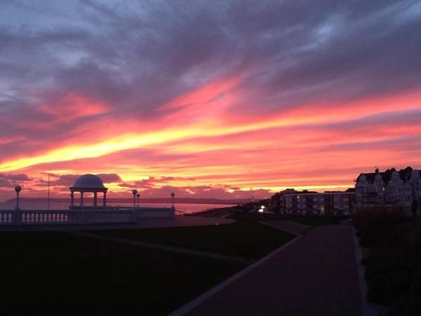 The Driftwood Bexhill