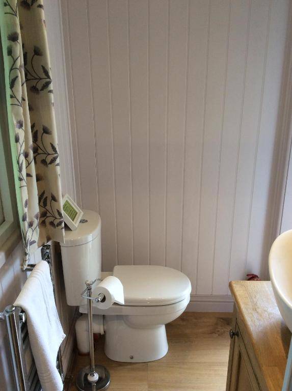 Dawn Chorus Holidays