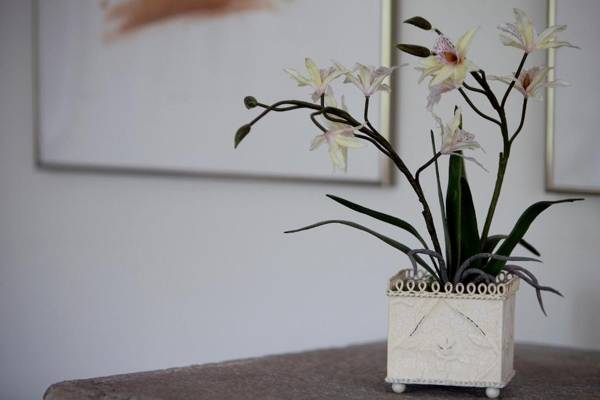 Tucking Mill View- Self Catering