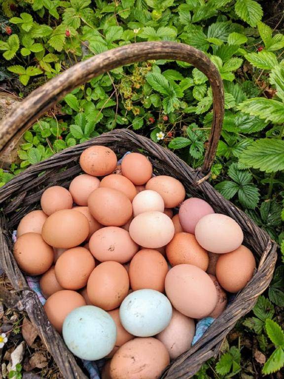 Detached Self-Catering Studio near Lyme Regis - Contactless Check-In