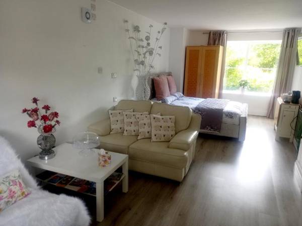 Beautiful 1-Bed Studio in Axminster