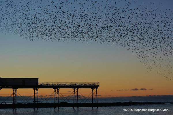 No 47 Marine Terrace
