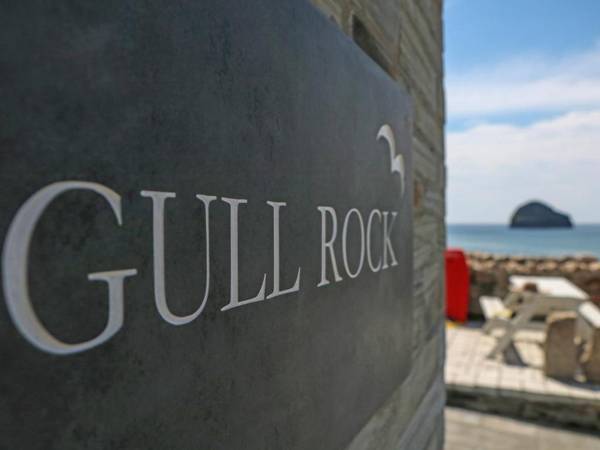 Gull Rock Tintagel