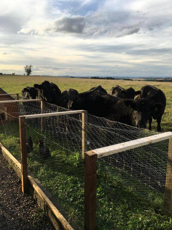 Tarskavaig Bed & Breakfast