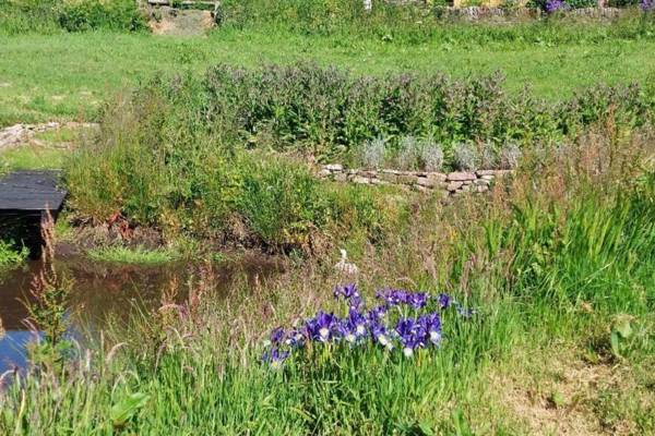 Peak District Cottage set in 5 acres near Buxton