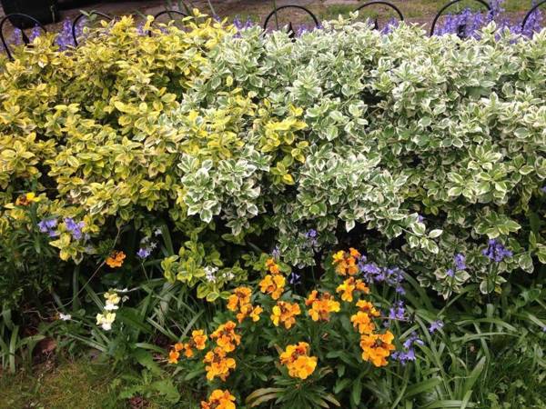 Entire Stunning 1-Bed Apartment in Westcliff