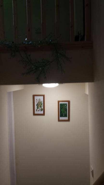 THE CONKERA Saracens head public house high street