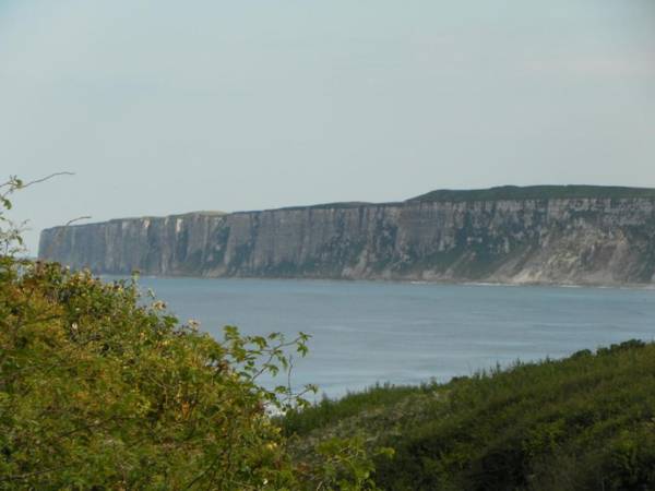 Nett's Coastal Escape Filey