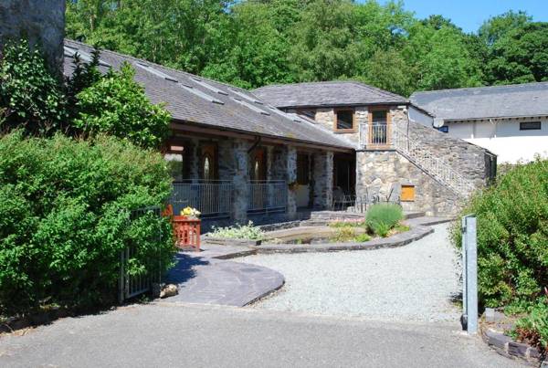 Bryn Llys for the Zip Wire