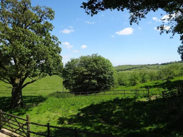 Swallows Reach Halwell