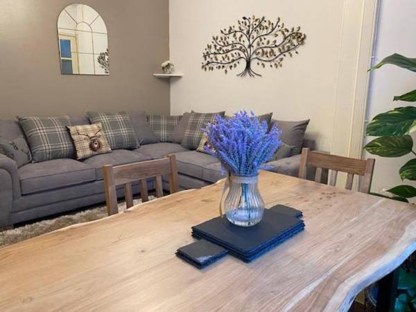 City Lights Apartments 