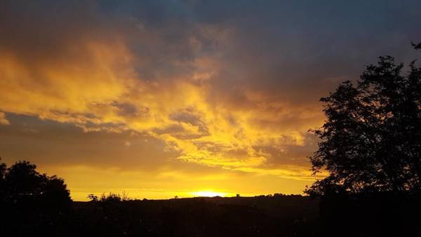 Rowan Tree House B&B