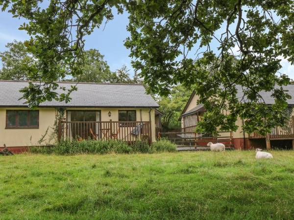 Woodpecker Beaworthy