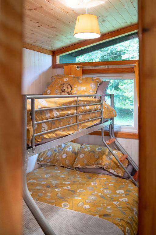 Catkin Lodge set in a Beautiful Woodland Holiday Park