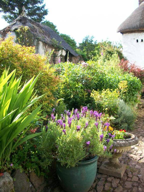 Middletown Farmhouse B&B