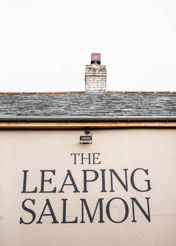 The Leaping Salmon