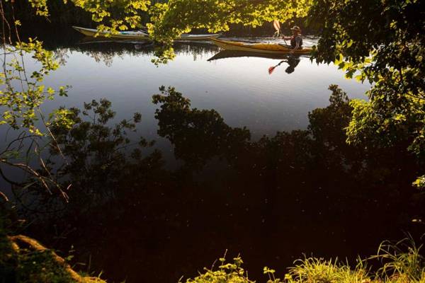 Carrick's at Castle Farm