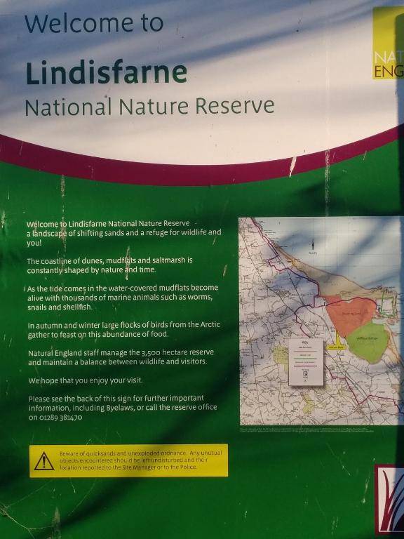 Haggerston Lola the Lodge and Betty the Van