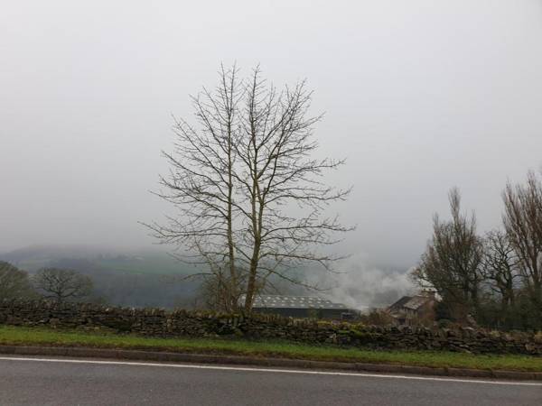 The Shady Oak Country Inn