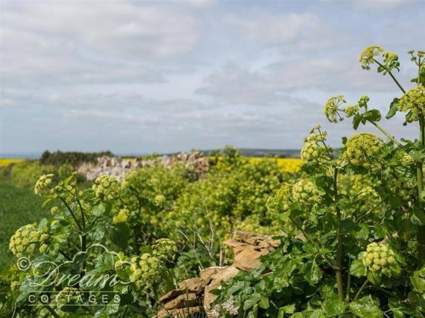 The Old Reading Room LANGTON HERRING