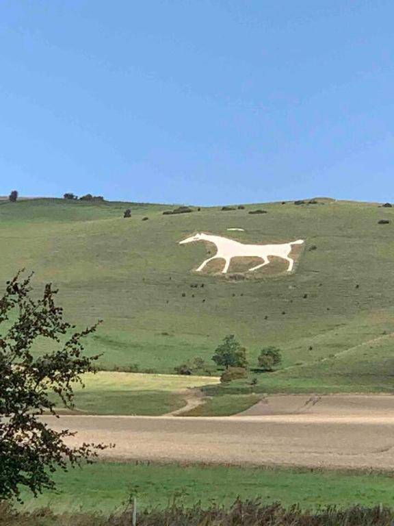 Stylish getaway in the heart of the Pewsey Vale