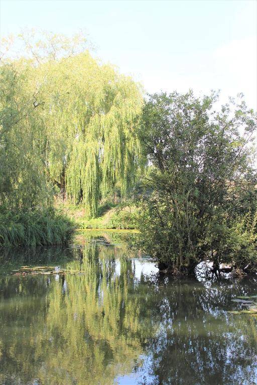 Sleeps-3 Gypsy Carriage 'Rose'