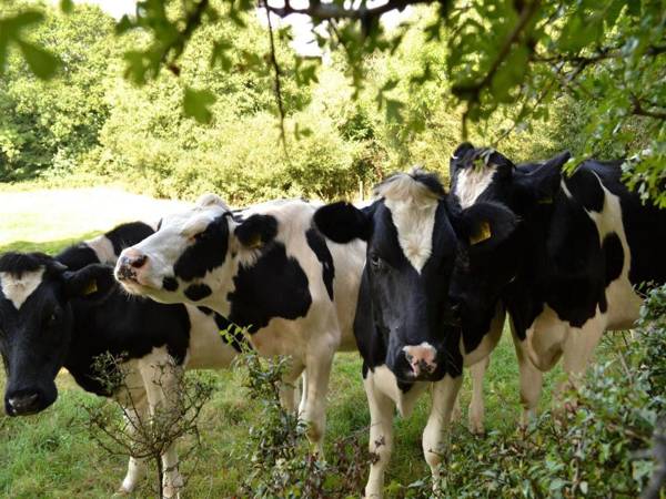 Hillcroft Accommodation