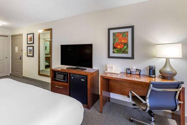 Workspace - Comfort Inn & Suites Carbondale