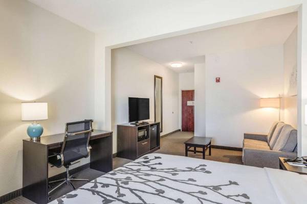 Workspace - Sleep Inn & Suites Hiram