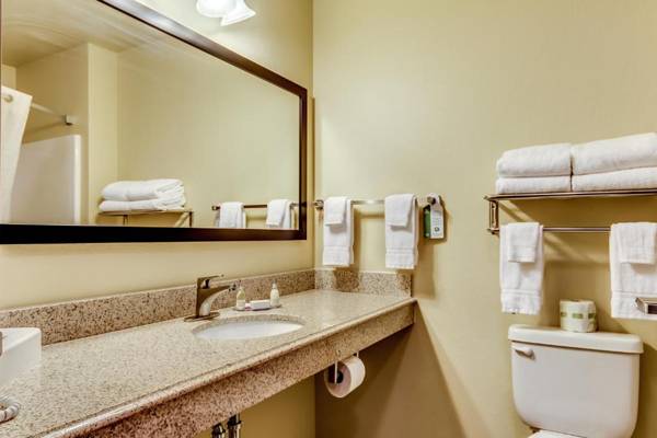 Cobblestone Inn & Suites - Waverly