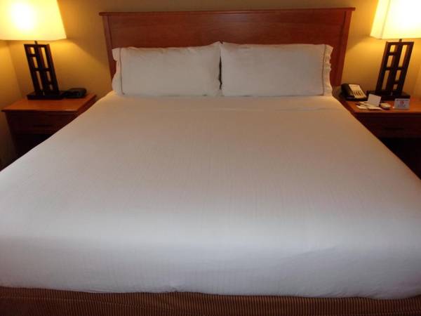 Holiday Inn Express Hotel & Suites Chicago West Roselle an IHG Hotel