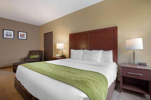 Comfort Inn Willow Springs