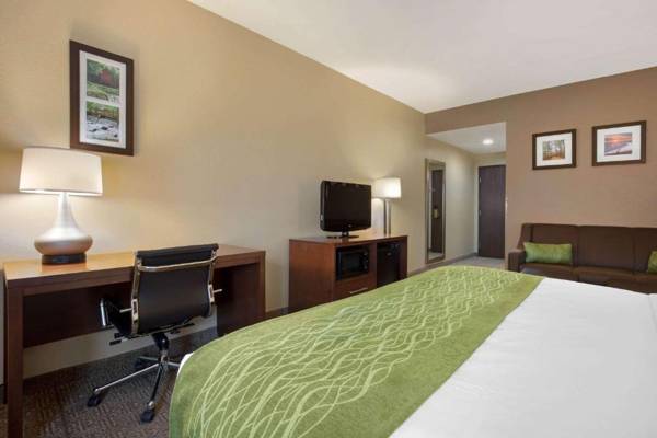 Comfort Inn Willow Springs