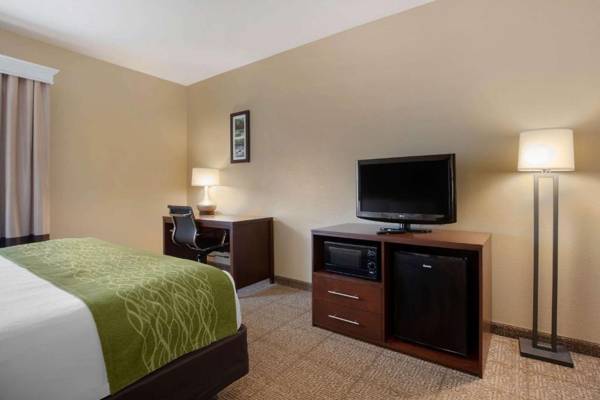 Comfort Inn Willow Springs