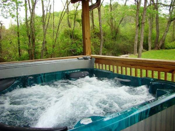 Climbing Bear Creekside Cabin