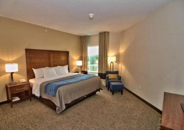 Comfort Inn Apalachin - Binghamton W Route 17