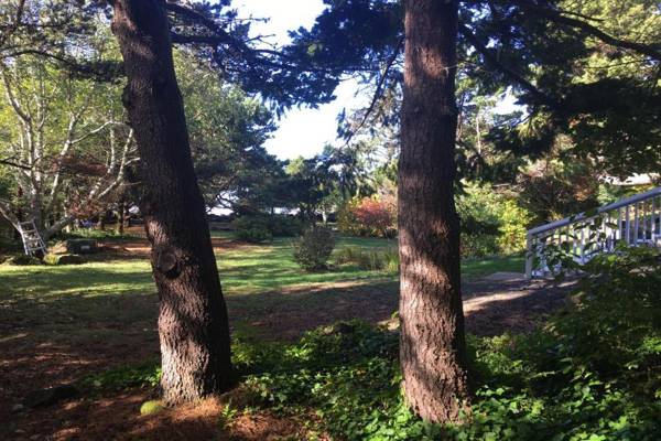 Hidden Luxury Beachfront Estate