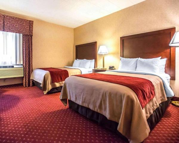 Comfort Inn Pocono Lakes Region