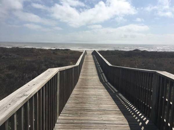 Sea Life's Beauty in this Oceanview Beachhouse!