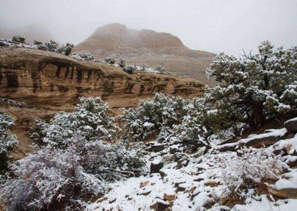 Cathedral Valley Inn