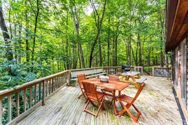 Huge Deck Comm Pool Grill WiFi at Coolfont Cabin