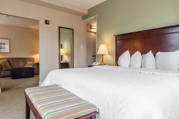 Hampton Inn & Suites Birmingham-Downtown-Tutwiler