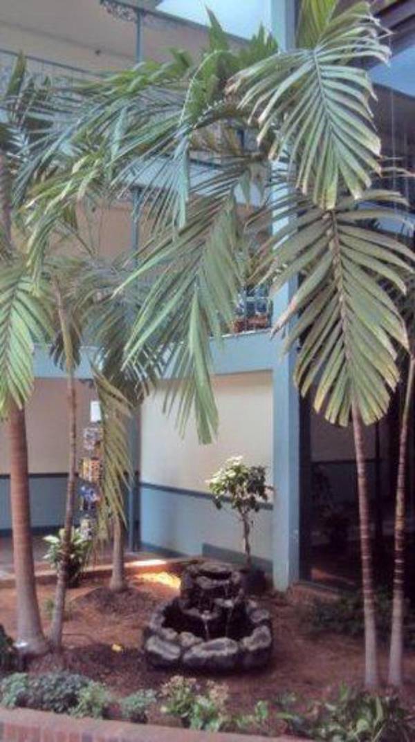 Clarion Inn Montgomery East Monticello Dr