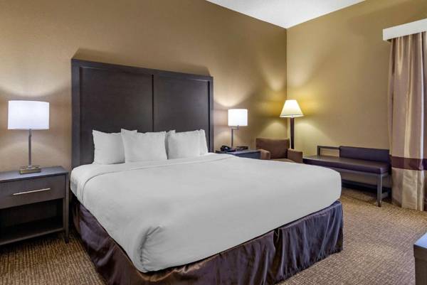 Comfort Inn Opelika - Auburn