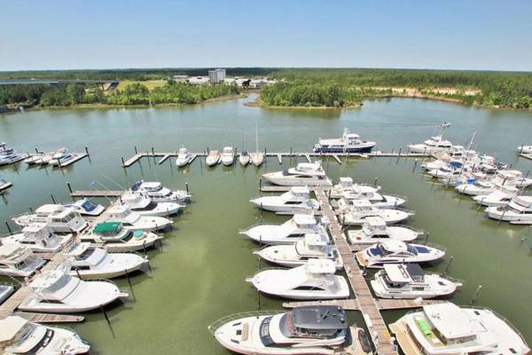 The Wharf 902 by Young's Suncoast