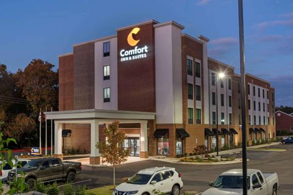 Comfort Inn & Suites Downtown near University